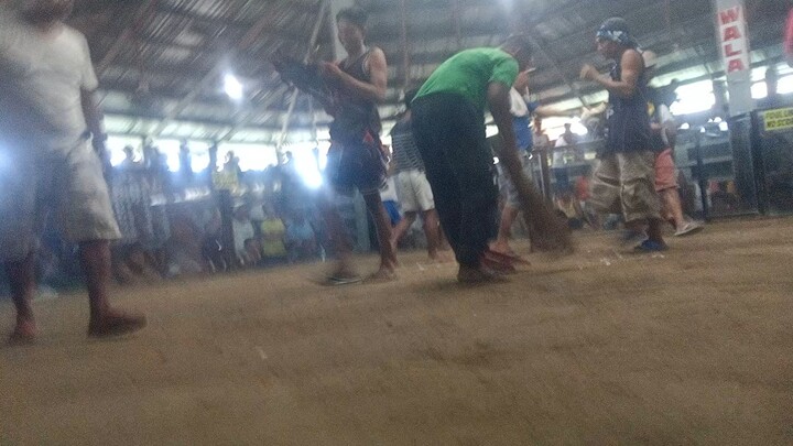 win tayo mga idol  boston roundhead
