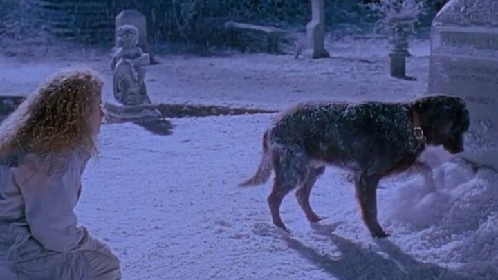 In my past life, I didn’t get to be by your side; in this one, I’ve transformed into a dog to grow u