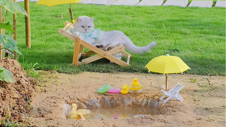 Though life may be ordinary, let’s still find joy in it.