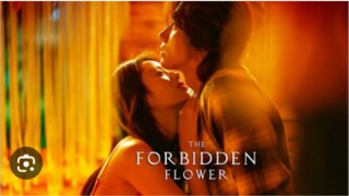 THE FORBIDDEN FLOWER Episode 11 Tagalog Dubbed