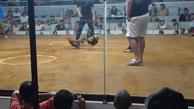 Gilmore 2nd fight win...@binan2hitschampion