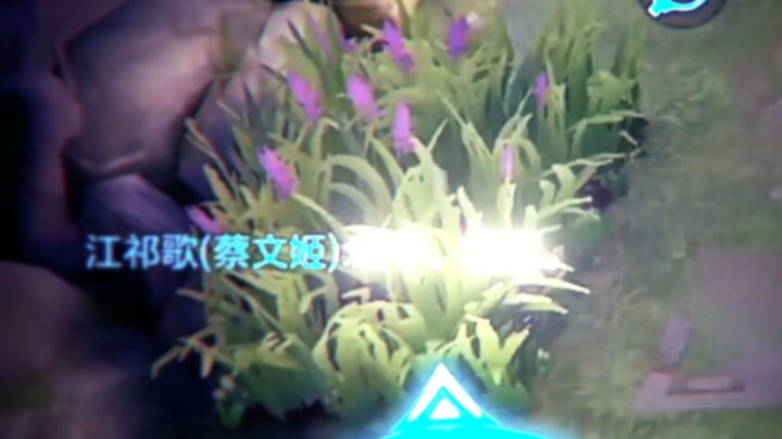 [Little Jia] A super cute little AI companion