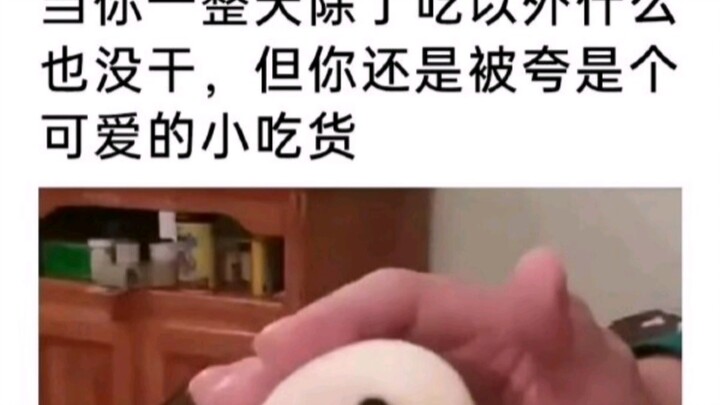 بطّة صغيرة لطيفة جدًا!