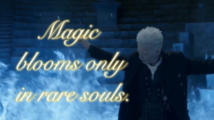 "Phép thuật chỉ nở rộ trong những tâm hồn hiếm hoi" Phép thuật cá nhân của Grindelwald