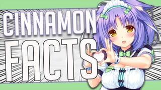 5 Facts About Cinnamon - Nekopara
