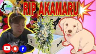 RIP AKAMARU