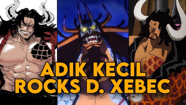 SENJATA RAHASIA BAJAK LAUT ROCKS