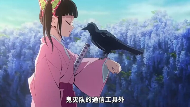 Nói trắng ra thì cả Kurokawa còn chết có ý nghĩa hơn Gojo Satoru!