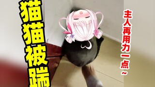 猫猫被踹了也是会舒服的！！！