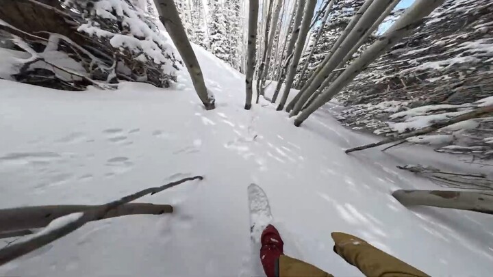 Tôi là người mù, xin hỏi đây đang làm gì vậy