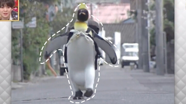 A once-popular Penguin in Japan 30-odd years ago