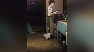 มาดูแมวห้องเรามั้ย! anime fypシ amv