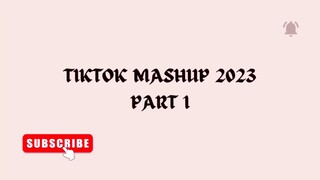 BEST TIKTOK MASHUP OF 2023