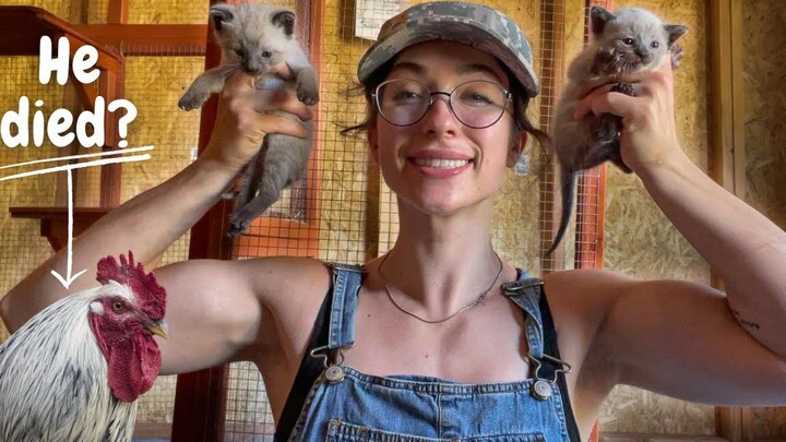 Watching American Farmers’ Healthy Lifestyle 2 | We Have a Kitten: Lean Beef Patty’s Family Farm – 4