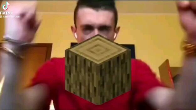 minecraft i think