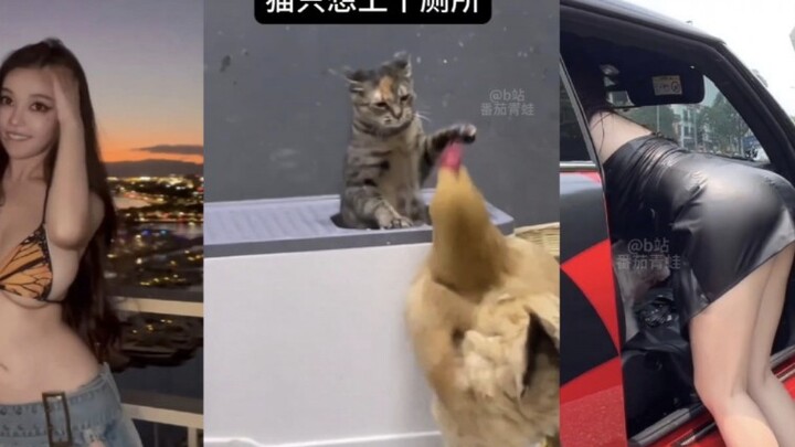 TikTok's awkward and absurd diary #112