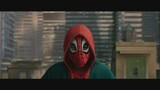 【AMV/Spider-Man Parallel Universe】Let Go-BeauYoungPrince