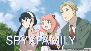 AMV || SPYXFAMILY