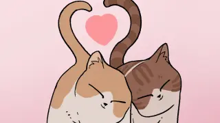 Animals|Cute Pet Animation