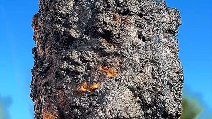 Immersive Burnt Marshmallow Experience Day 1