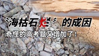 [Fun Geography] Stones that break into pieces when touched can help you prepare for geography questi