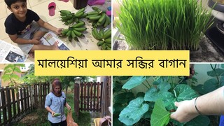 আজ আমাদের বাগানের সব সব্জি পেরে নিলাম সাথে কে ছিল ll Ms Bangladeshi Vlogs ll