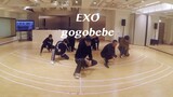 [EXO] Tiantuan cover phòng tập gogobebe hàng đầu mới nhất của Mamamu
