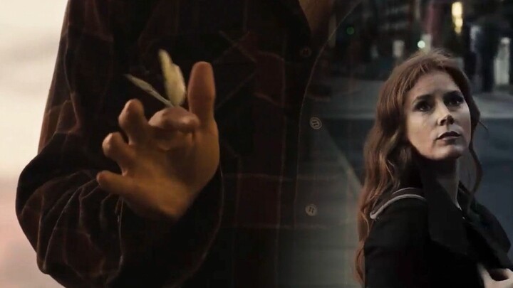 Potret Kelompok Zhenglian DCEU | Seorang teman lama datang menunggang kuda putih dengan pelana perak