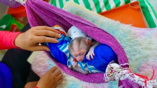 Napping Time!! TIny adorable Luca is so comfortable sleeping well on the hammock