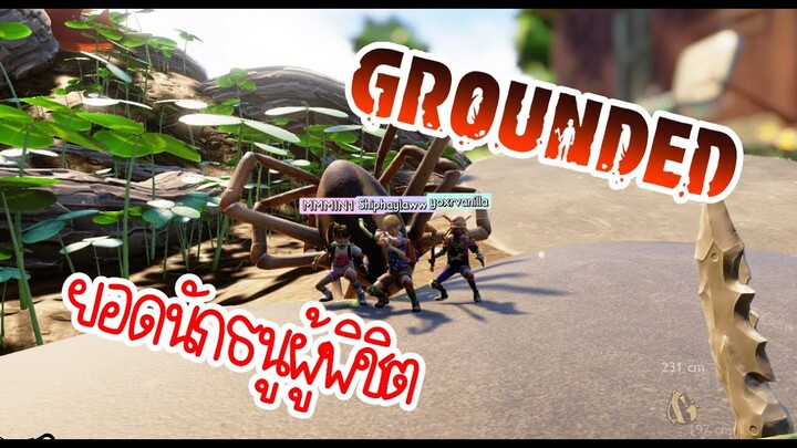 ยอดนักธนูผู้พิชิต - GROUNDED