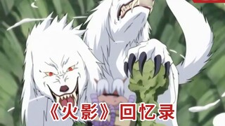 Hồi ký "Naruto" 030: Sự kết hợp tối thượng! Inuzuka Kiba VS Trái và Phải Kon
