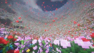 Like a dream, I came to a sea of flowers...