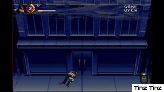 The Adventures of Batman & Robin