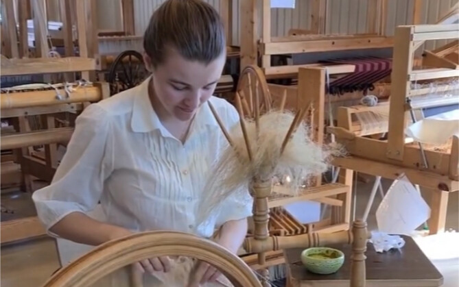 From plants to thread, this is how flax is made