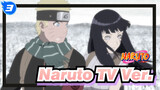 [Naruto] TV Ver. 10 The Last_3