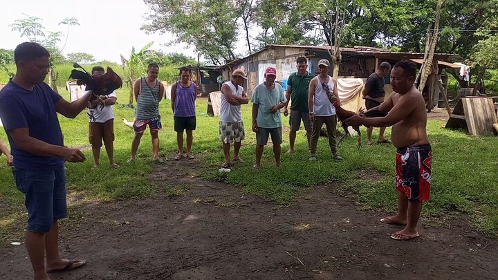 dinaan sa bilis