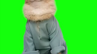Green screen tob tobi kucing