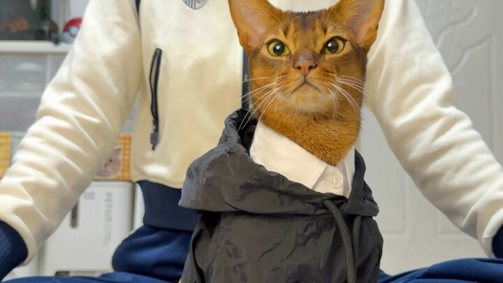 สไตล์ฮ่องกง ดูสบายๆ แต่เท่มีสไตล์