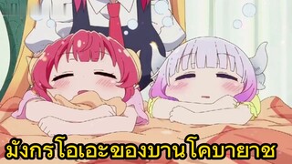 มังกรโอเอะของบ้านโคบายาชิ