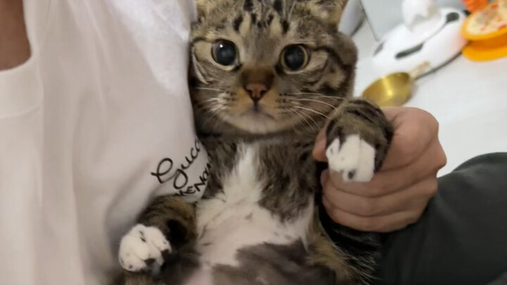 “Đó là nơi không được phép”