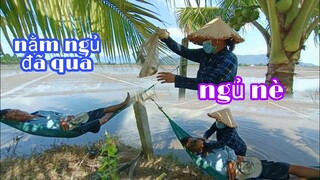 vợ chồng Tư ra đồng kiếm cá và cái kết cho tư