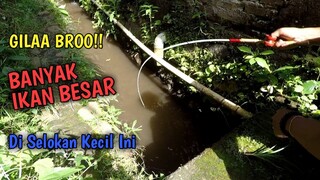 GILAA!! Mancing di Selokan Kecil Dapat Ikan Besar Besar