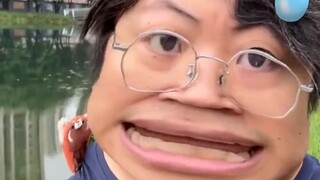 How many adult animations have you watched?