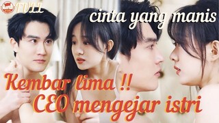 Kelima bayi jenius saya semuanya membantu saya menemukan seorang suami#MiniDrama