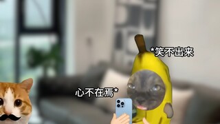 每次假期结束返现路上的窒息感