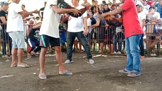 team albatross hackfight