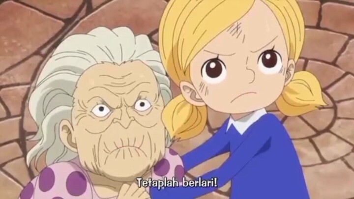 one piece lucu banget