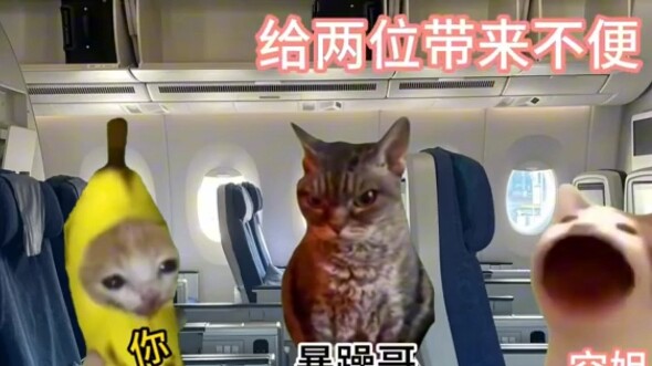 You can upgrade your flight like THIS?!?