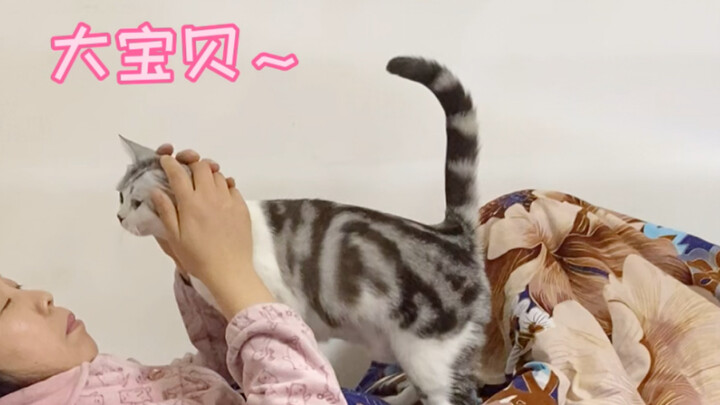 Before I got a cat: “Get out of here, all of you!” After getting one: “So good!!”