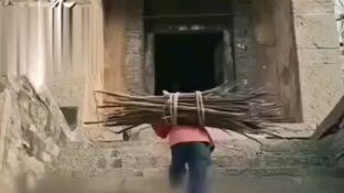 ฝูนีดาวนำโชคตัวน้อย